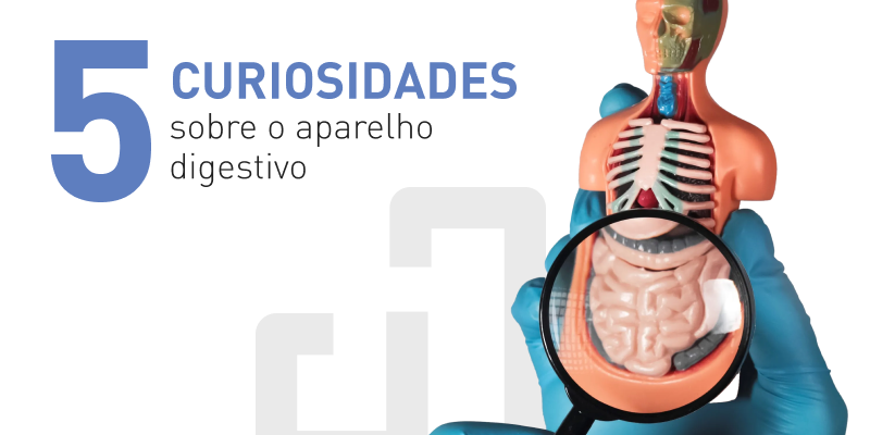 5 curiosidades sobre o aparelho digestivo